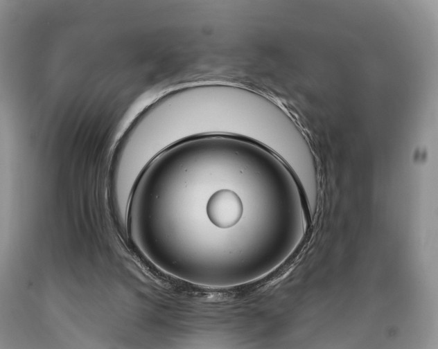 X0000090620056200707241139