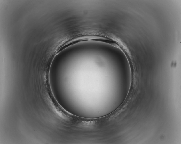 X0000090620057200707241139