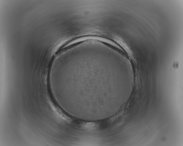 X0000090620058200707241139