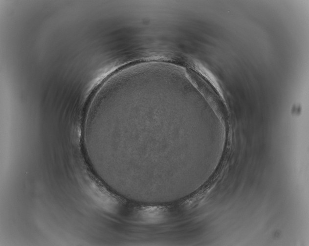 X0000090620059200707241139