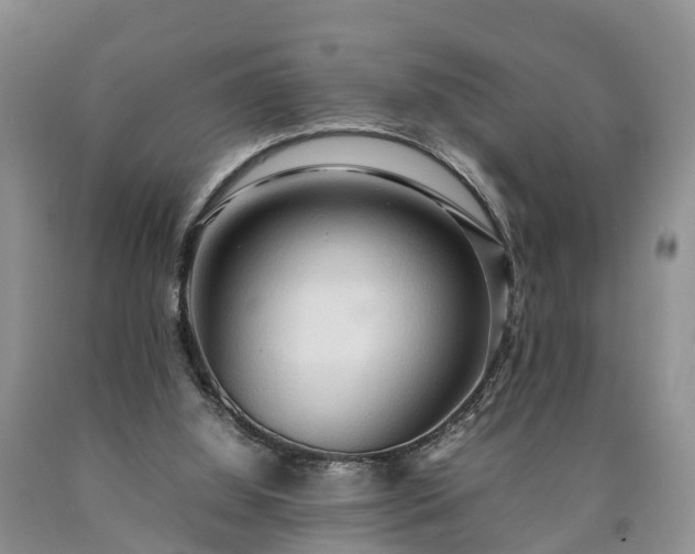 X0000090620060200707241139