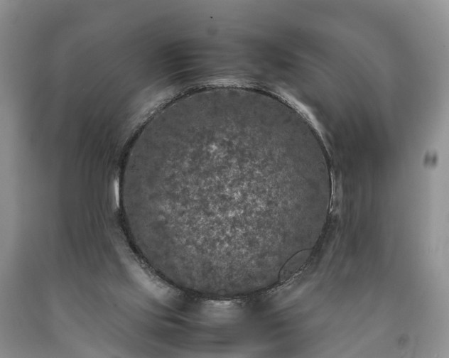 X0000090620061200707241139