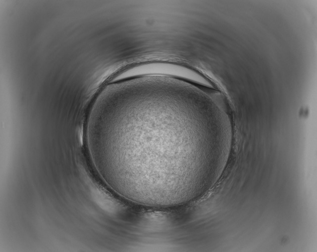X0000090620062200707241139