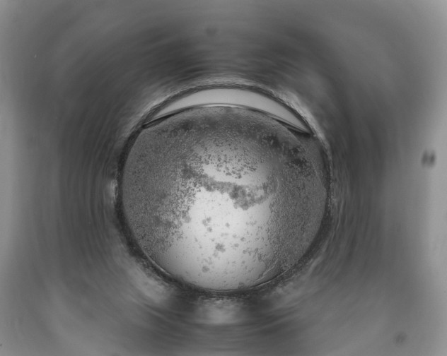 X0000090620063200707241139