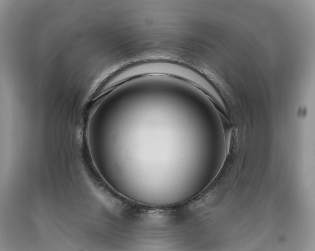 X0000090620064200707241139