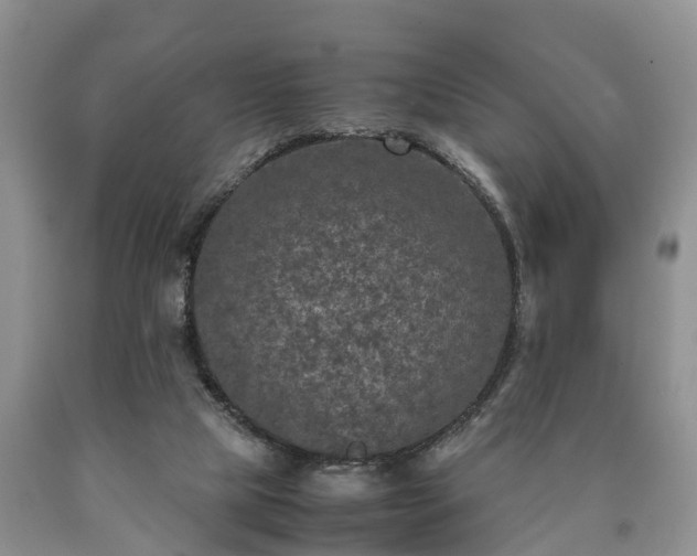 X0000090620065200707241139