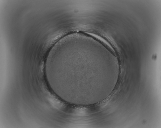 X0000090620066200707241139