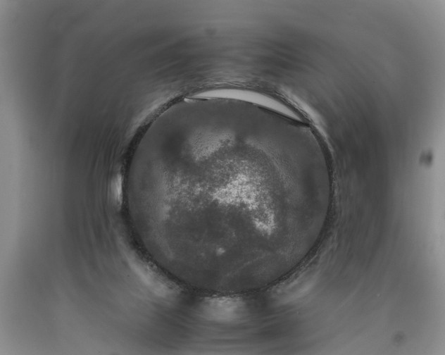 X0000090620067200707241139