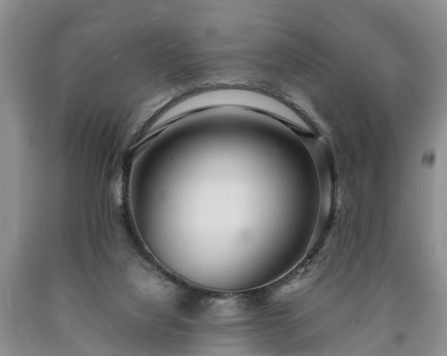 X0000090620068200707241139