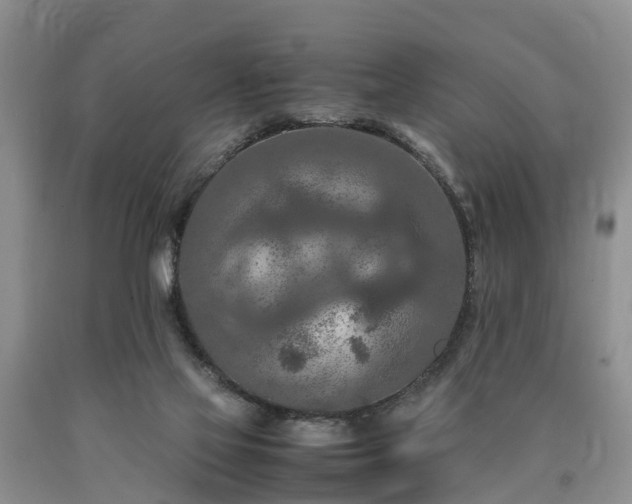X0000090620069200707241139