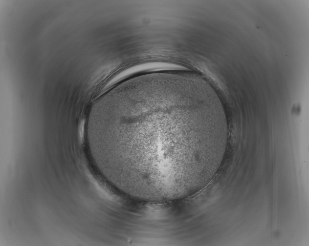 X0000090620070200707241139