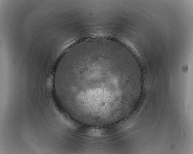 X0000090620071200707241139