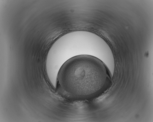 X0000090620076200707241139