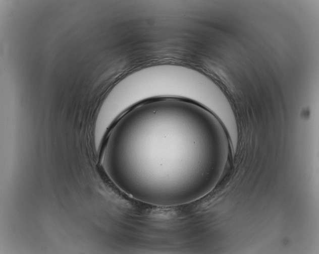 X0000090620077200707241139