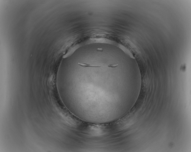 X0000090620079200707241139