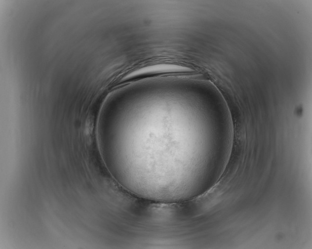 X0000090620082200707241139