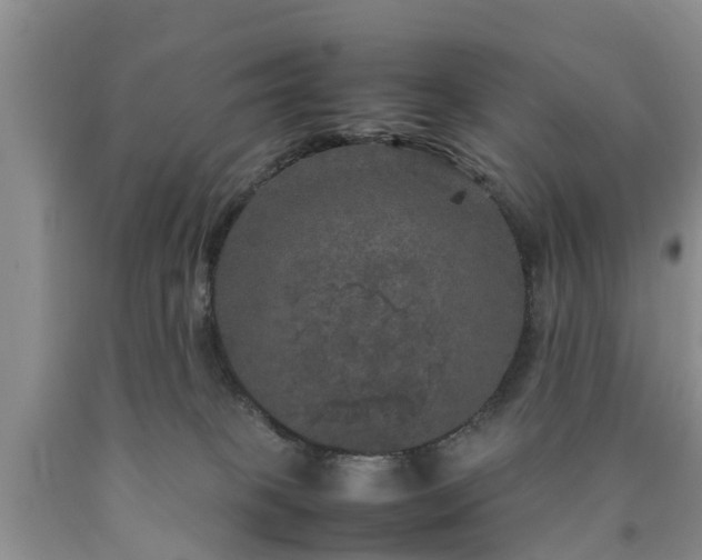 X0000090620085200707241139