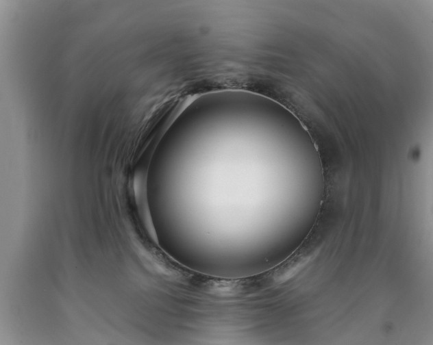 X0000090620088200707241139