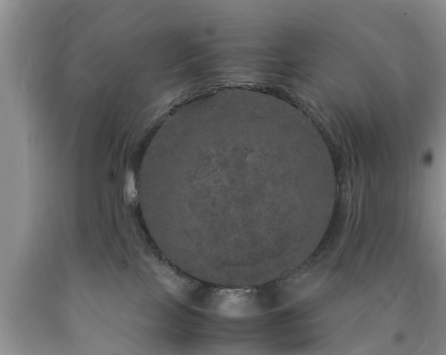 X0000090620089200707241139