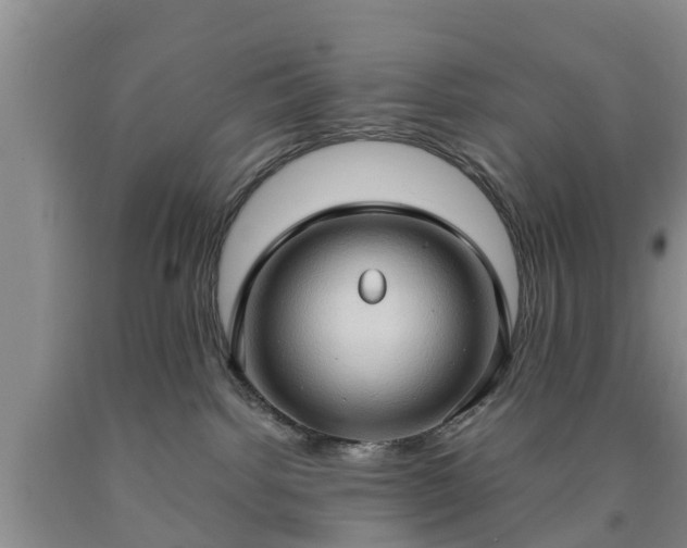 X0000090620092200707241139