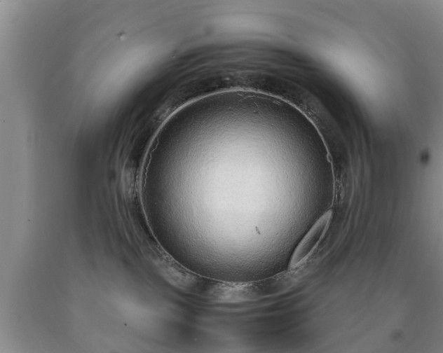X0000090620093200707241139