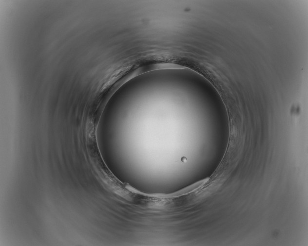 X0000090620096200707241139