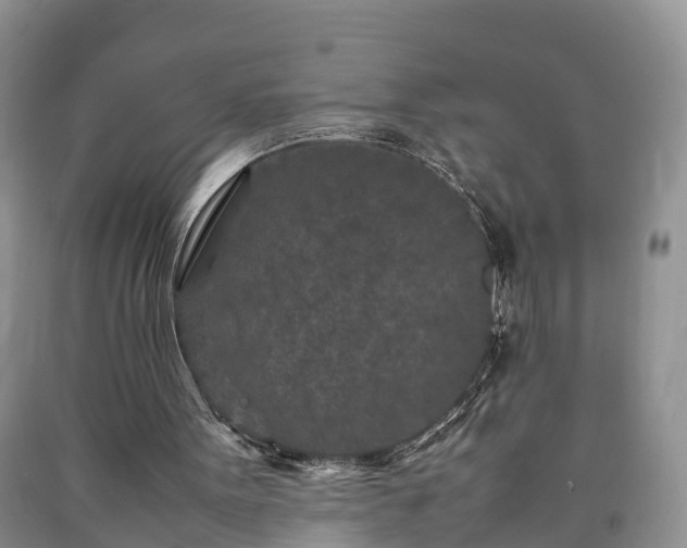 X0000090620099200707241138