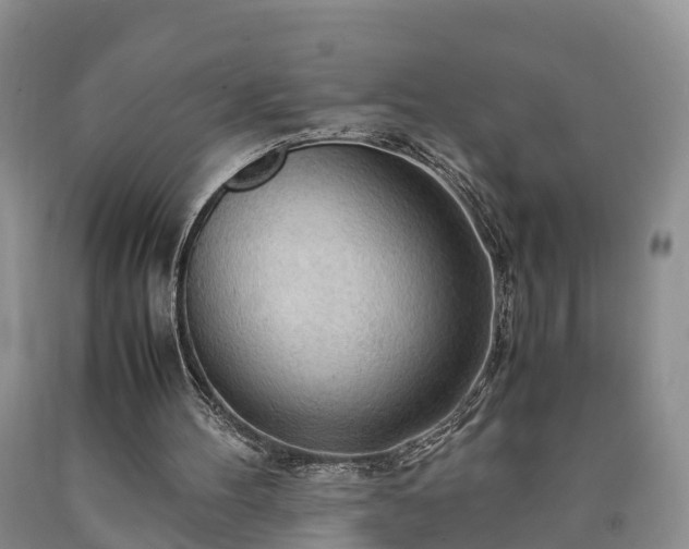 X0000090620100200707241138