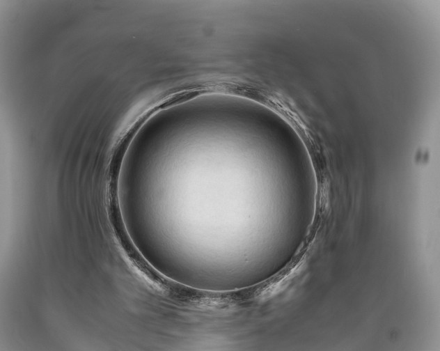 X0000090620101200707241138