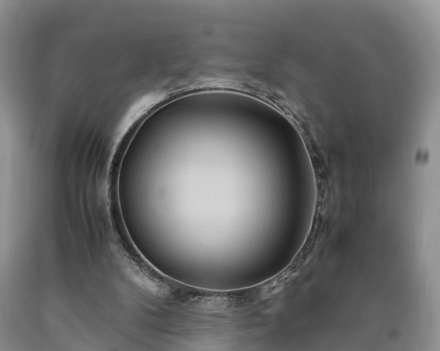 X0000090620104200707241138