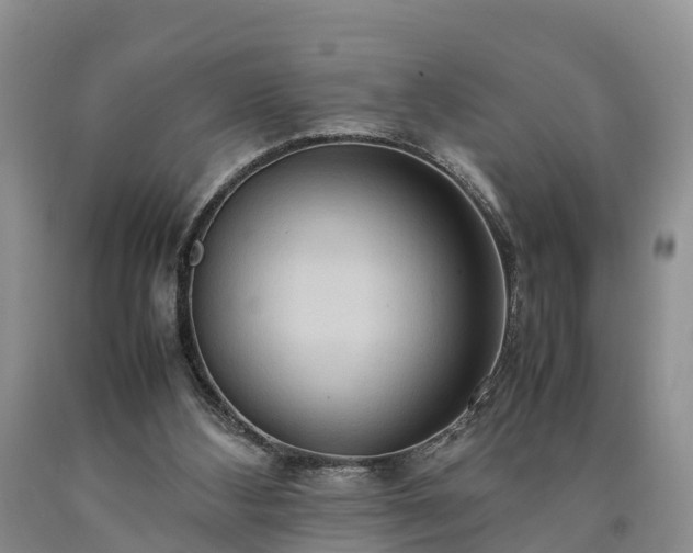 X0000090620108200707241138