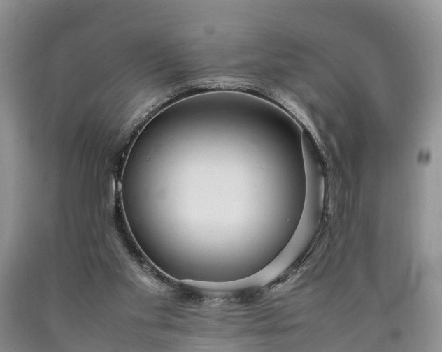 X0000090620109200707241138