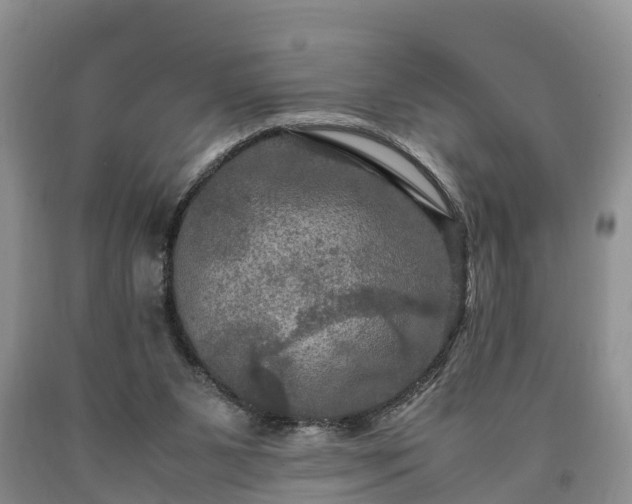 X0000090620111200707241138