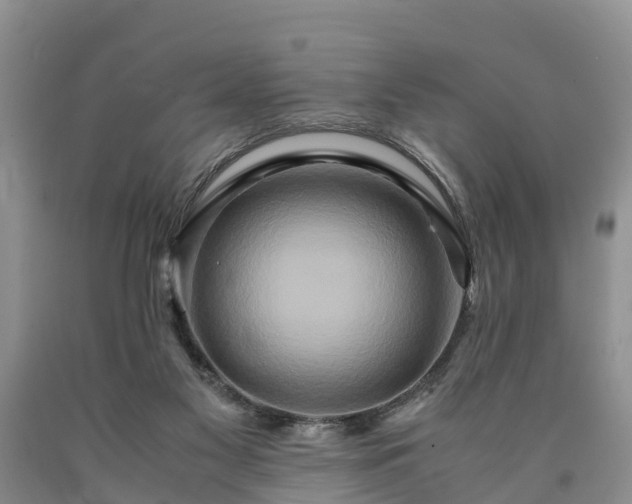 X0000090620117200707241138