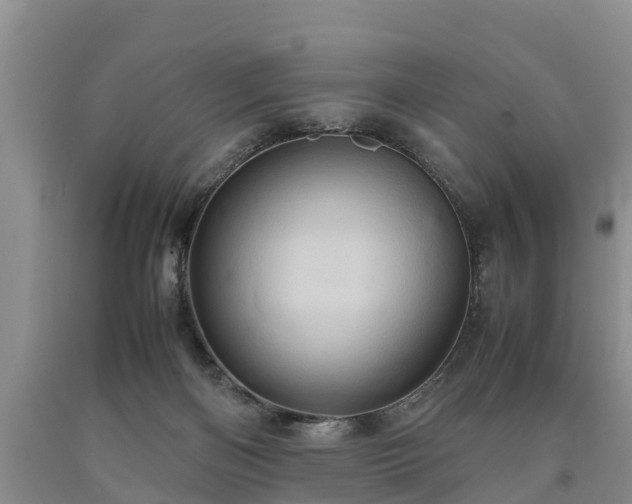 X0000090620122200707241138