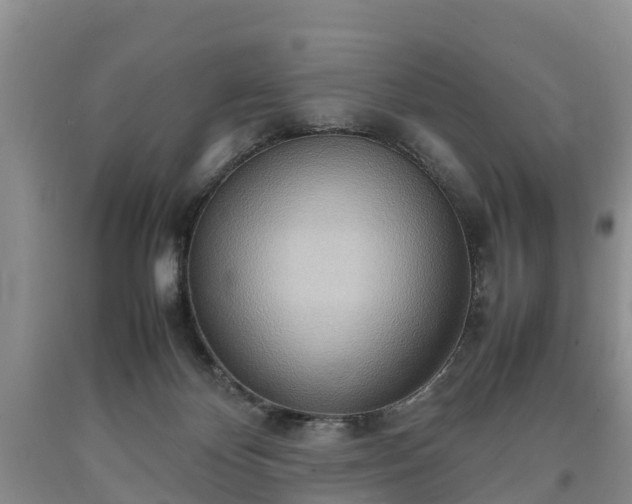 X0000090620124200707241138