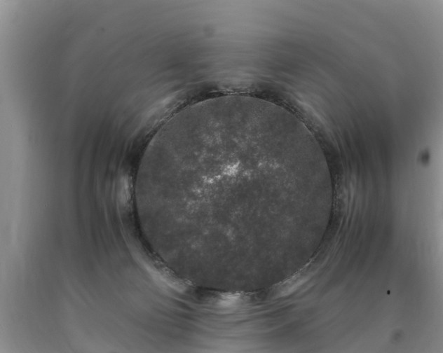 X0000090620130200707241138
