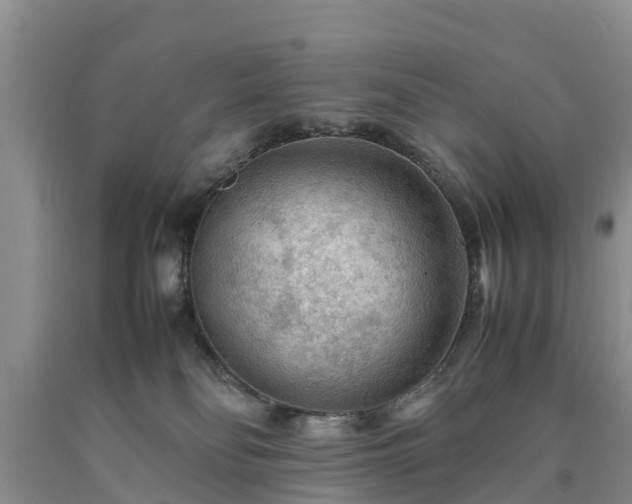 X0000090620134200707241138