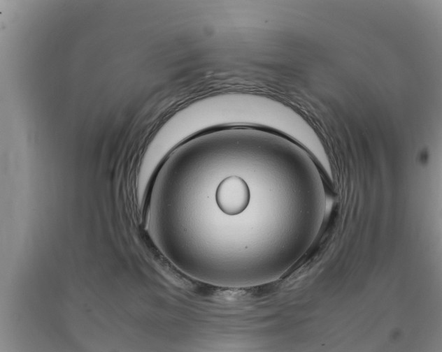 X0000090620137200707241138
