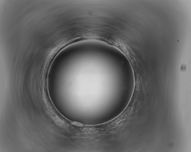 X0000090620145200707241137
