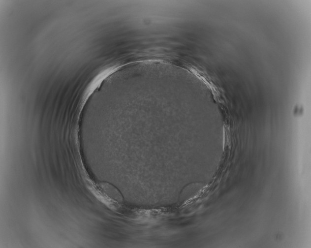 X0000090620147200707241137
