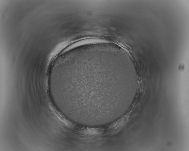 X0000090620149200707241137