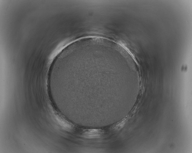 X0000090620151200707241137