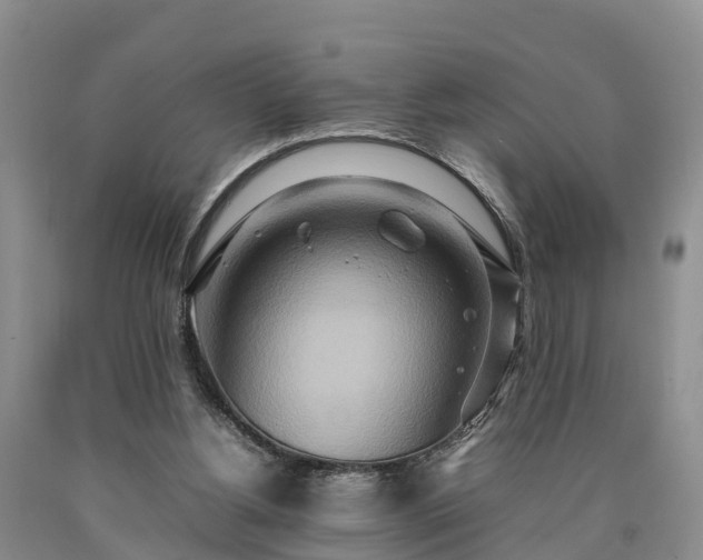 X0000090620156200707241137