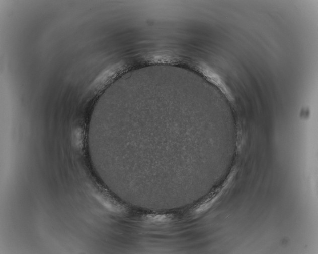 X0000090620161200707241137