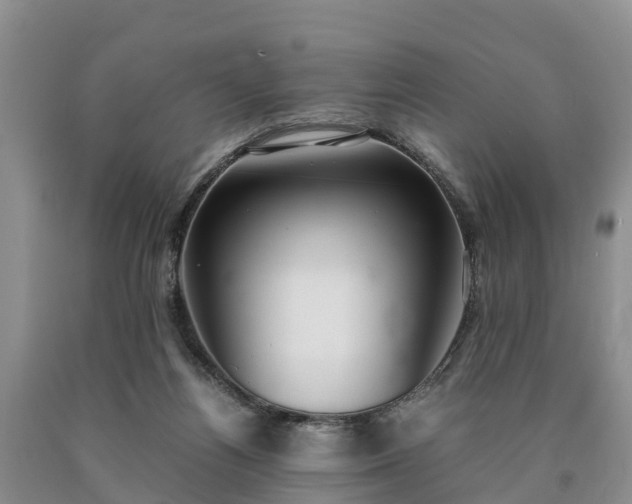 X0000090620164200707241137