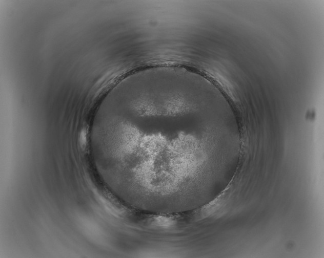 X0000090620166200707241137