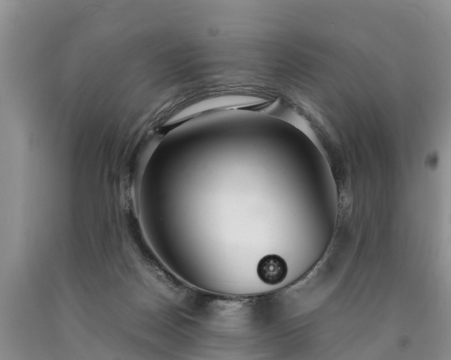 X0000090620170200707241137