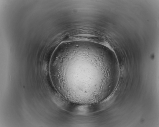 X0000090620178200707241138