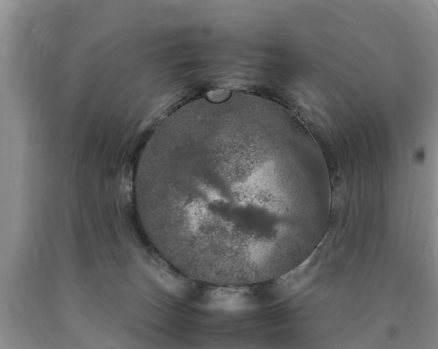 X0000090620179200707241138